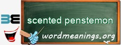 WordMeaning blackboard for scented penstemon